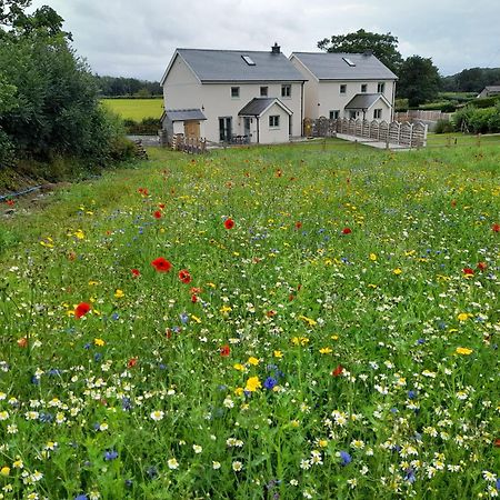 Family Country Cottage With Stunning Mountain Views Myddfai Exterior photo
